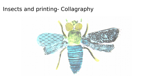 Collagraph Insects