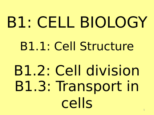 AQA B1 Flash Cards Revision