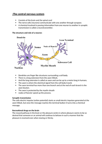 how does biology relate to psychology