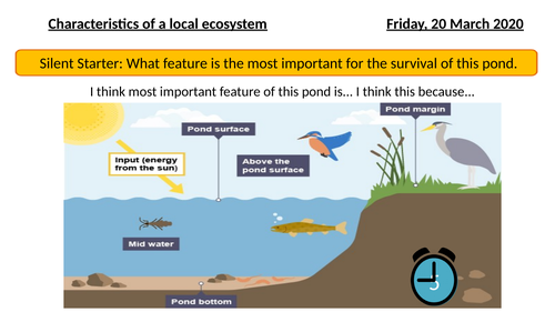 Characteristics of a local ecosystem