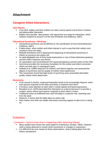 Psychology essay plan template image