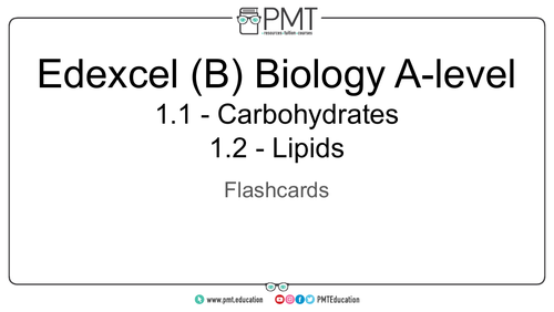 Edexcel (B) A-level Biology Flashcards