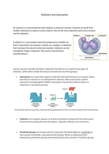 Enzymes - Cofactors and Coenzymes