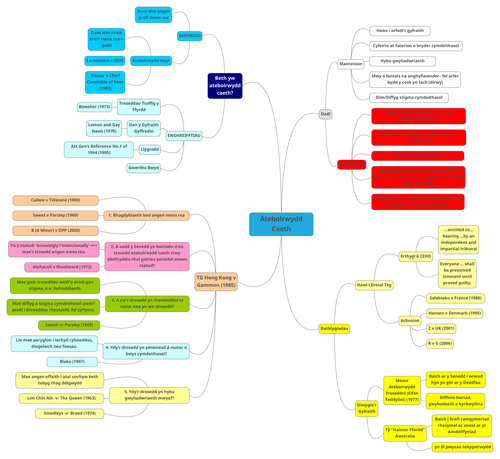 Atebolrwydd Caeth - Map Meddwl