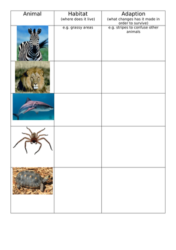 Animal habitats and adaption