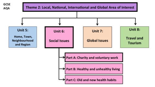 Social Issues- Unit 6- GCSE French