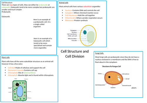 AQA GCSE Biology 9-1: Cell structure and Cell Division A4 Revision sheet