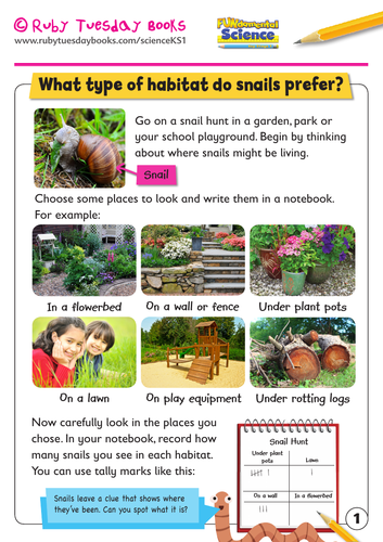Let's Go on a Snail Hunt and Design a Snail Habitat