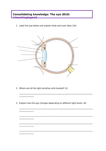 GCSE Biology The Eye Consolidation