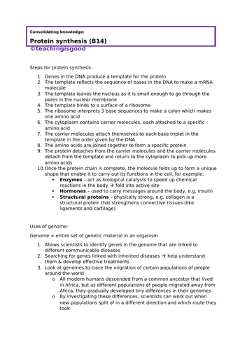 GCSE Biology Protein Synthesis (B14) consolidation