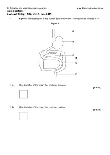 3.3 Digestion and absorption (carbohydrates, lipids, proteins) exam questions | A Level Biology AQA