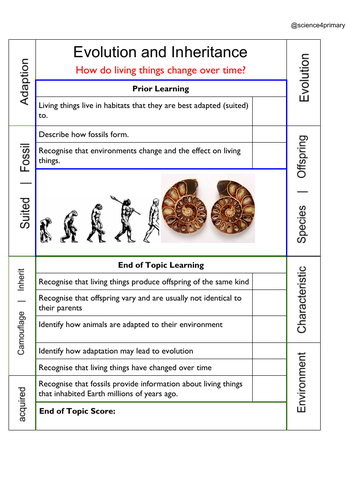 Year 6 Knowledge Organisers / Topic Page