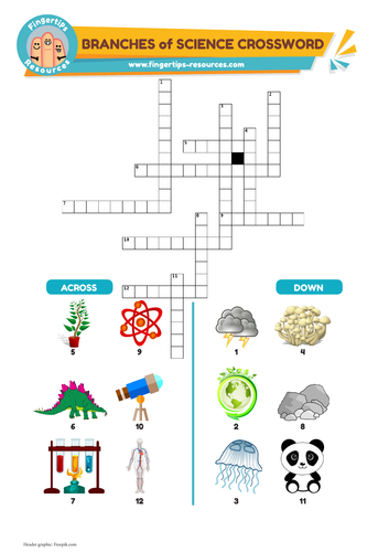 Branches of science Vocabulary Crossword