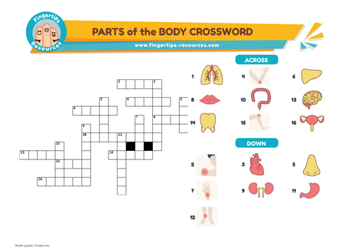 Parts of the Body Vocabulary Crossword