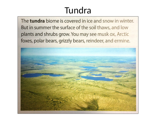 KS3 L2 - Biomes of Russia | Teaching Resources