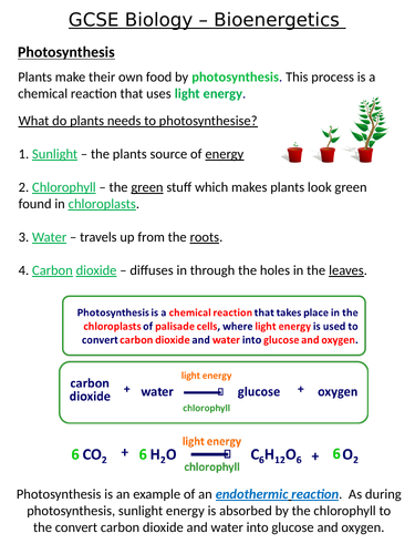 Home Learning Pack ~ GCSE Biology ~ Bioenergetics