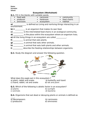 Ecosystem - Worksheet (Printable and Distance Learning)
