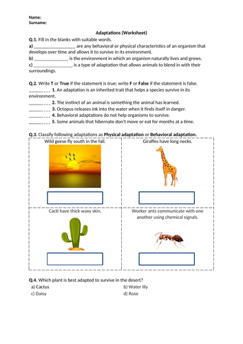 Adaptations - Worksheet | Printable and Distance Learning