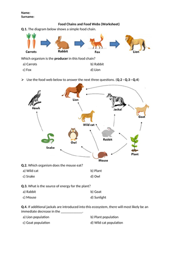Holt Science Biology Food Chains And Food Webs Worksheet Answers