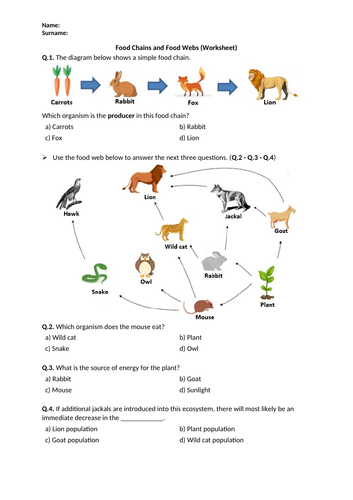 food web worksheet