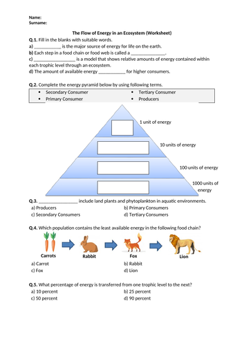 The Flow of Energy in an Ecosystem - Worksheet | Printable and Distance Learning