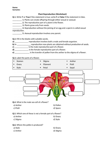 Plant Reproduction - Worksheet | Printable and Distance Learning