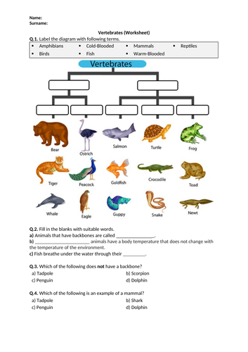 Vertebrates - Worksheet | Printable and Distance Learning