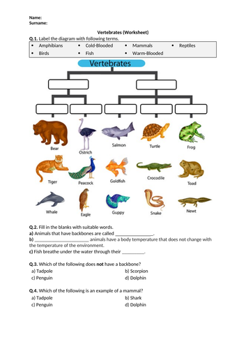 vertebrates-worksheet-printable-and-distance-learning-teaching