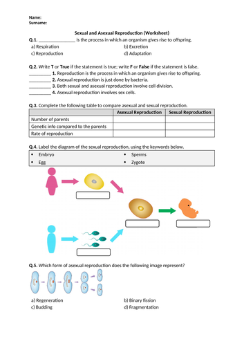 Distance Learning Sexual And Asexual Reproduction Worksheet Teaching Resources 5194