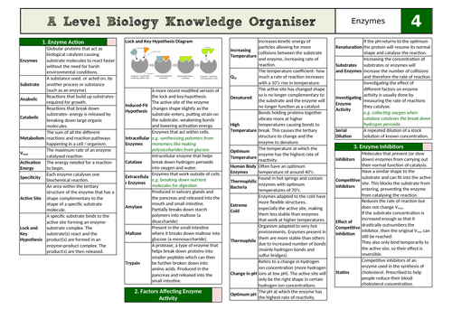 OCR Biology A Knowledge Organiser- Chapter 4