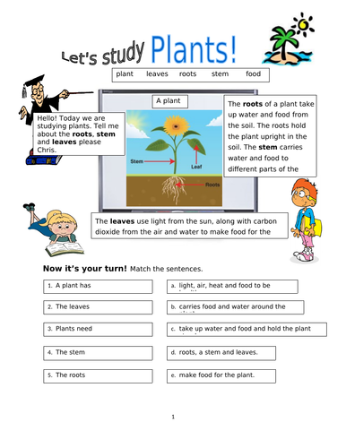 plants worksheet teaching resources