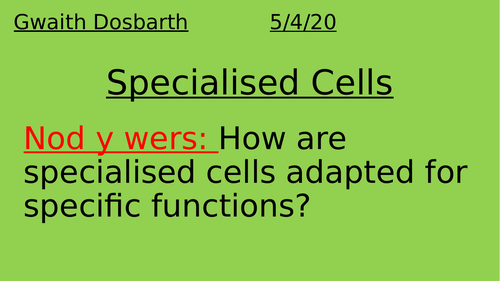 Specialised cells