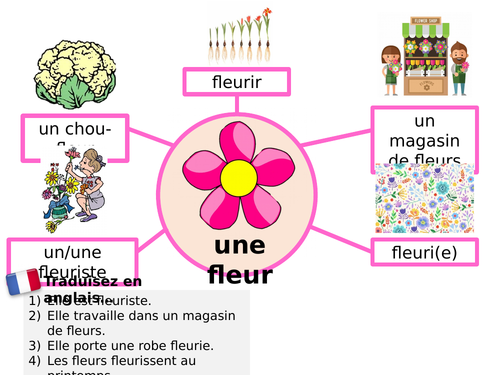 Word family translation starters
