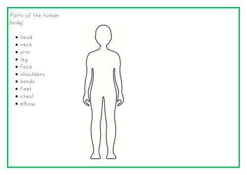 Y1 - Identify, name and label parts of the human body | Teaching Resources