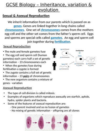 Home Learning Pack ~ GCSE Biology ~ Inheritance, variation & evolution