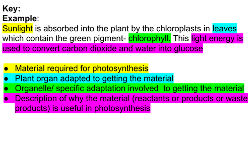 Plant adaptations for photosynthesis_Gap fill