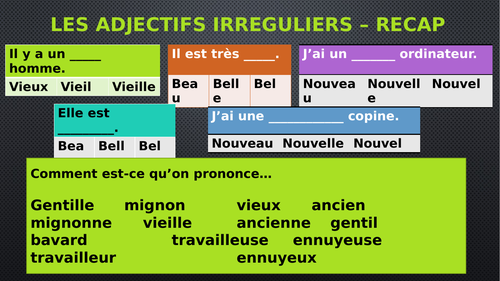 Irregular adjectives oral activities French