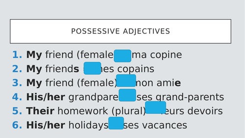 Possessive adjectives activities French