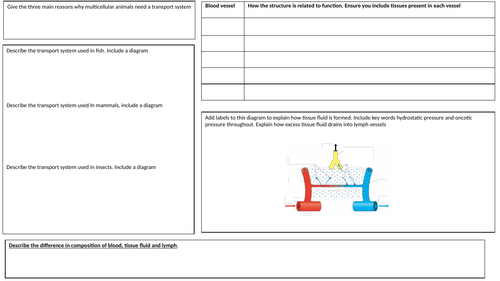 Transport in animals