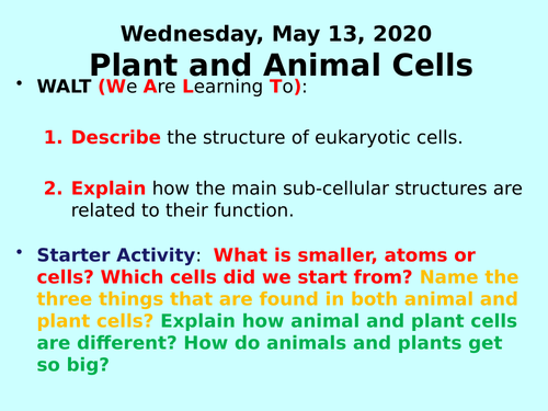 Plant and Animal Cells PPT - GCSE Biology
