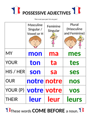 French Possessive Adjectives Display/Sheet