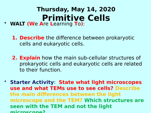 Primitive Cells PPT - GCSE Biology