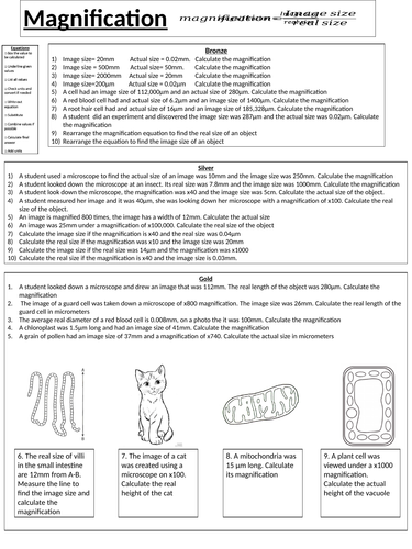 Magnification equation worksheet