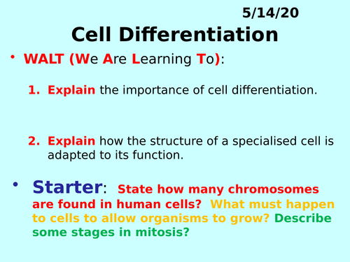 Cell Differentiation PPT - GCSE Biology