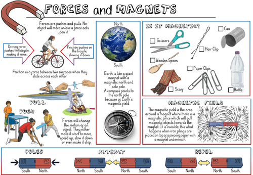 Forces and magnets year on sale 3