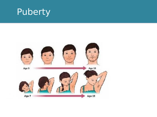 Emotions in Puberty Remote/Home Learning