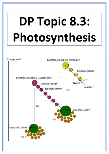 IBDP biology 2016 topic 8.3 photosynthesis workbook