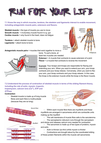 Edexcel SNAB Biology A level module 7: Run for your life revision notes