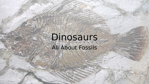 All about fossils