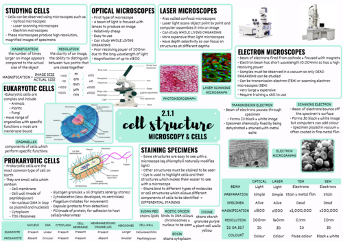 OCR ALEVEL BIOLOGY CELL STRUCTURE